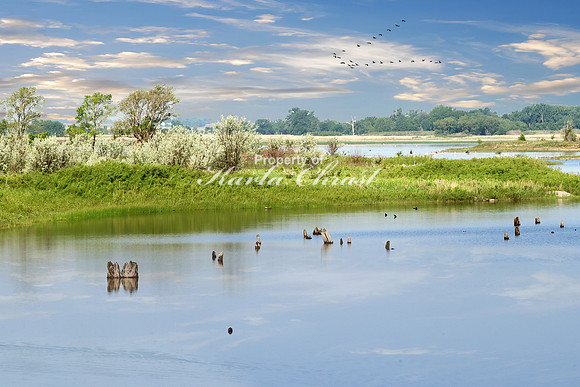 Big Stone National Wildlife Refuge 6 - May 31, 2023