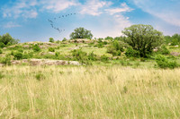 Big Stone National Wildlife Refuge 7 - May 31, 2023