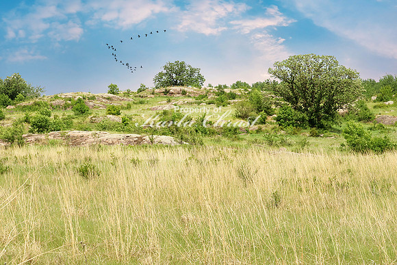 Big Stone National Wildlife Refuge 7 - May 31, 2023