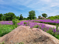 Big Stone National Wildlife Refuge 10 - May 31, 2023