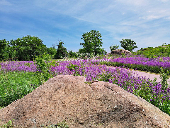 Big Stone National Wildlife Refuge 10 - May 31, 2023