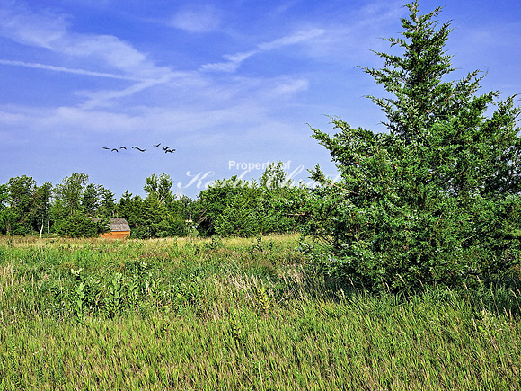 Lake Vermillion Recreation Area 9 - August 10, 2023