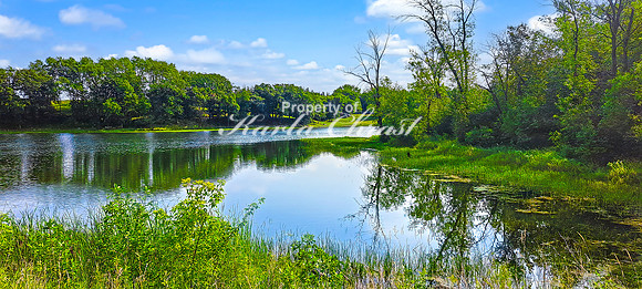 North Country National Scenic Trail 18 - July 30, 2024