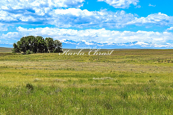 Crazy Woman Crossing 34 - June 5, 2024 Wyoming