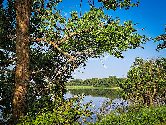 Oakwood Lakes State Park 14 - June 6,  2023