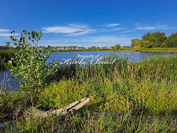 Oakwood Lakes State Park 31 - September 1,  2023