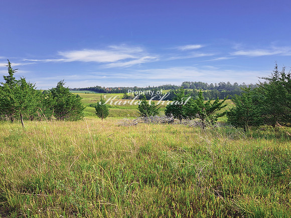 Lake Vermillion Recreation Area 2 - August 10, 2023