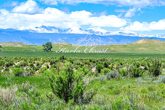 Crazy Woman Crossing 32 - June 5, 2024 Wyoming