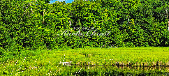 North Country National Scenic Trail 27 - July 30, 2024