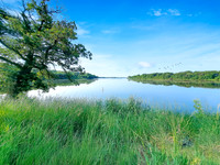 Oakwood Lakes State Park 5 - June 6,  2023