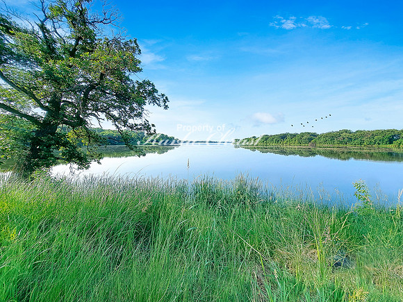 Oakwood Lakes State Park 5 - June 6,  2023