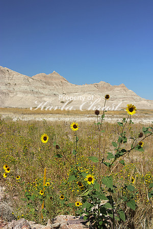 Badlands National Park 7 - September 5, 2017 Badlands National Park South Dakota