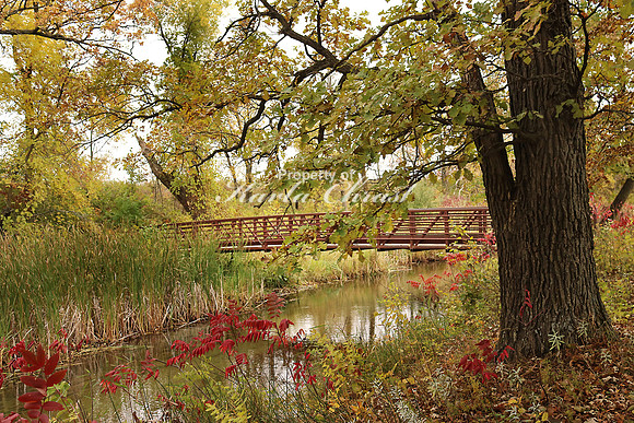 Glendalough State Park 1 - October 6, 2018