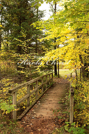 St. Croix State Park 11 - October 7, 2018