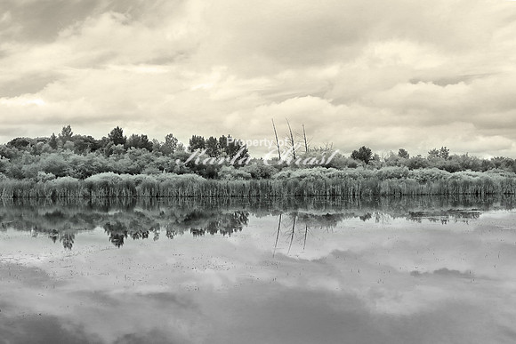 Tamarac Lake - June 29, 2017 Rydell National Wildlife Refuge Minnesota