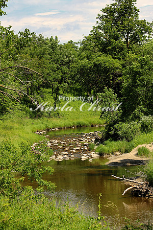 Old Mill State Park - July 3, 2017
