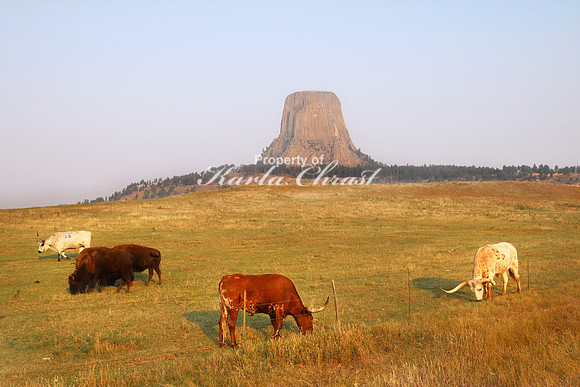 Devil's Tower National Monument 3 - September 2, 2017