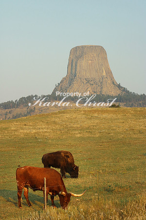 Devil's Tower National Monument 4 - September 2, 2017