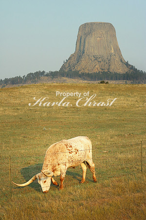 Devil's Tower National Monument 5 - September 2, 2017
