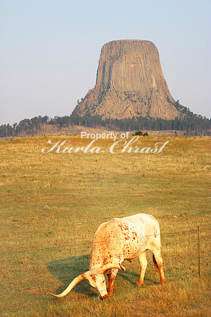 Devil's Tower National Monument 6 - September 2, 2017