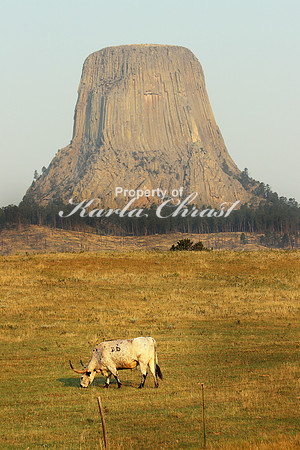 Devil's Tower National Monument 7 - September 2, 2017