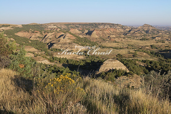Theodore Roosevelt National Park North Dakota 5 - September 08, 2017