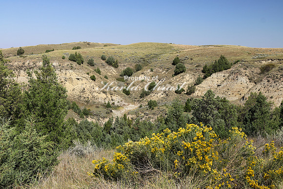 Theodore Roosevelt National Park North Dakota 8 - September 08, 2017
