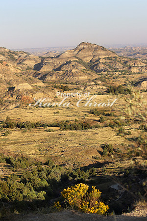Theodore Roosevelt National Park North Dakota 12 - September 08, 2017