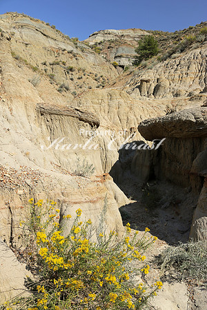 Theodore Roosevelt National Park North Dakota 10 - September 09, 2017