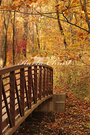 Nerstand Big Woods State Park 1 - October 13, 2017