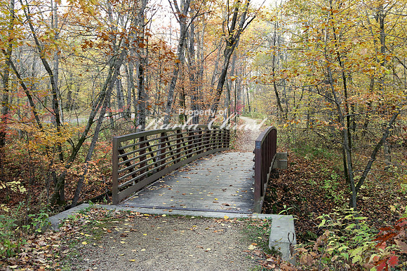 Nerstand Big Woods State Park 4 - October 13, 2017