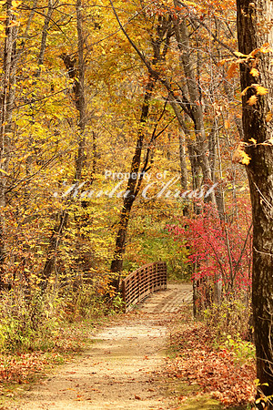 Nerstand Big Woods State Park 10 - October 13, 2017