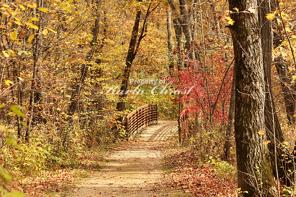 Nerstand Big Woods State Park 11 - October 13, 2017