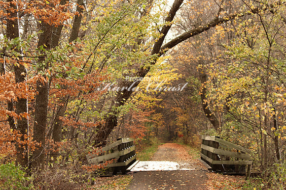 Sakatah Singing Hills State Trail 17 - October 29, 2017