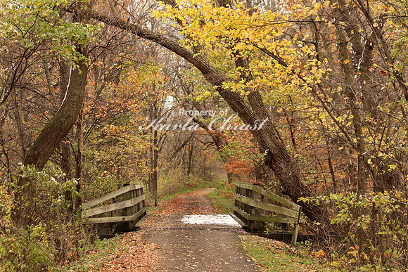 Sakatah Singing Hills State Trail 18 - October 29, 2017