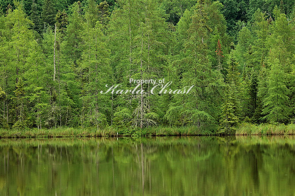 Lake Bemidji  1 - June 17, 2016 Lake Bemidji State Park Minnesota