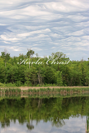 Rydell National Wildlife Refuge - June 18, 2016