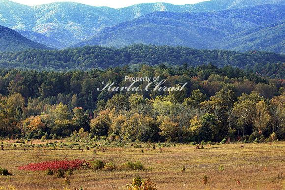 Cades Cove 1 - October 13, 2016 Great Smoky Mountains National Park