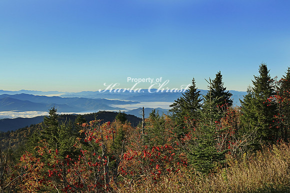 Great Smoky Mountains National Park 4 - October 12, 2016