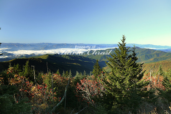 Great Smoky Mountains National Park 10 - October 12, 2016
