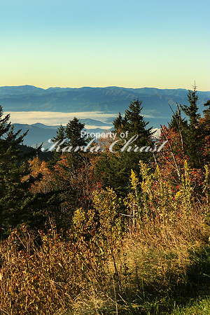 Great Smoky Mountains National Park 12 - October 12, 2016