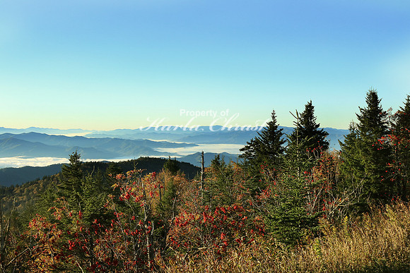 Great Smoky Mountains National Park 13 - October 12, 2016