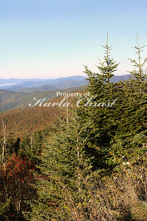 Great Smoky Mountains National Park 14 - October 12, 2016