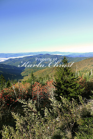 Great Smoky Mountains National Park 18 - October 12, 2016
