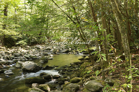 Great Smoky Mountains National Park 23 - October 12, 2016