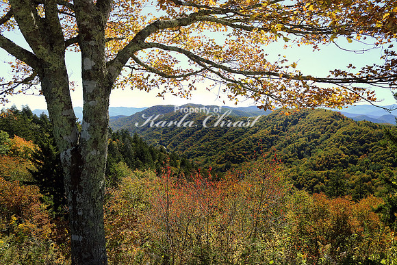 Great Smoky Mountains National Park 24 - October 12, 2016