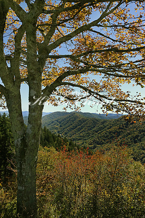 Great Smoky Mountains National Park 25 - October 12, 2016