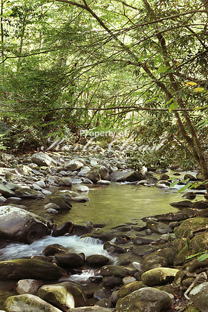 Great Smoky Mountains National Park 26 - October 12, 2016