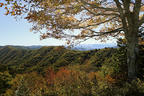 Great Smoky Mountains National Park 27 - October 12, 2016