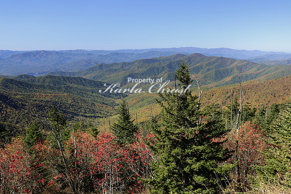 Great Smoky Mountains National Park 28 - October 12, 2016